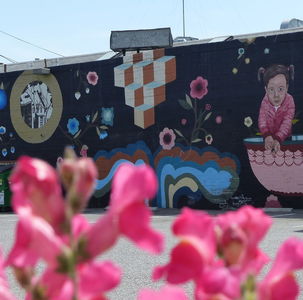 Painted wall in background, flowers in foreground.