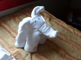 Towel animal on cruise ship