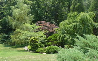 Exterior garden with flowers and bushes