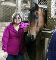 horses