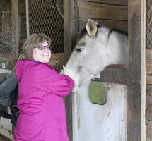 horse