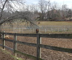 horse farm
