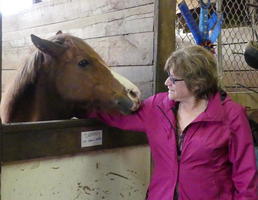 horse