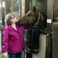 horse