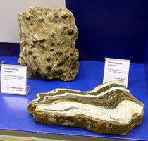 metamorphic rocks