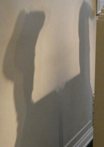 shadows