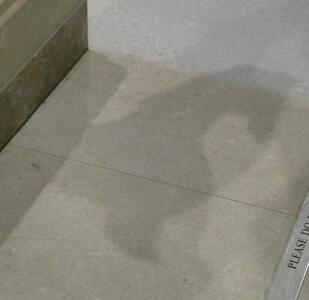 shadow