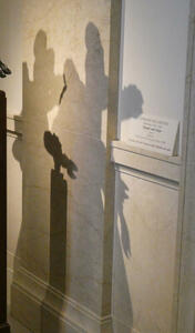 shadows