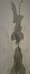 shadow