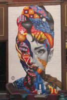 Wall art: Abstract multicolored woman