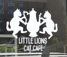 Silhouette of two cats on either side of a teapot