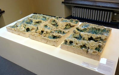 zee by nellie van wingeren