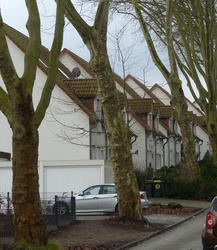 residential area