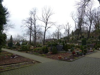 cemetery long view