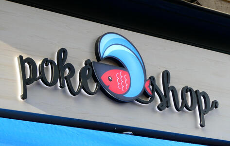 Red fish in blue wave