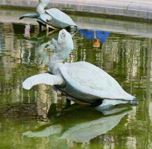 turtle fountains