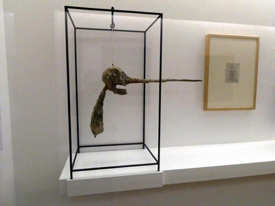 mans head with extremely long nose