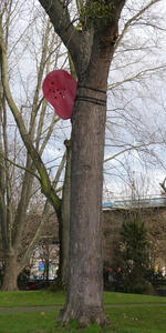 red metal tied to tree