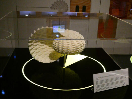model of folded geometry of the universe