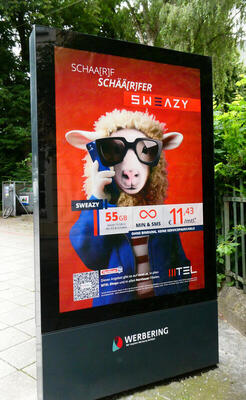advert sheep holding cell phone