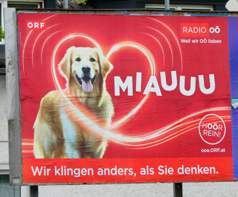 Dog with word MIAUUU. “Wir klingen anders, als Sie denken.”