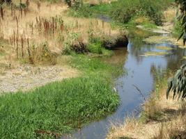 Creek running through grassy area behind Christmas Hill Park in Gilroy