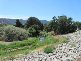 Stones in foreground, creek and trees in background