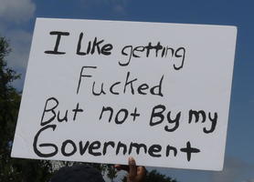 I like getting fucked, but not by my government