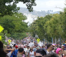 Long shot of crowd