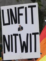 Unfit nitwit