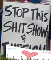 Stop this shit show and impeach