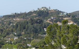 View of hill with trees