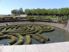 Shrubbery maze
