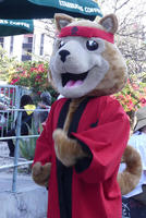 Person in wolf/dog-like costume with read kiomono and headband.