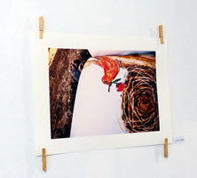 photo of drawing of bird taken by young child