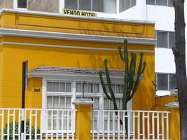 Yellow building with cactus in front of it.