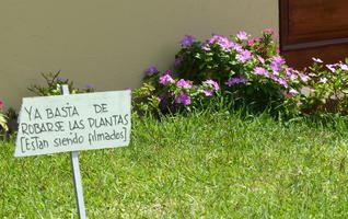 Hand-lettered sign in yard