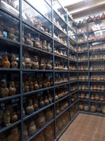 Shelves of ceramics