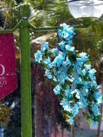 Light blue flowers hanging from lamp post