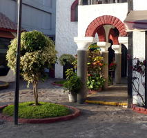 Courtyard with tree and shrubbery, arched walkway