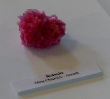 Pink rhodonite