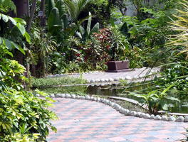 pathway through garden