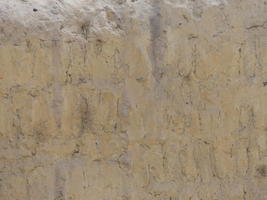 Yellowish (original color) bricks