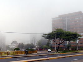 City shrouded in either fog or smog.