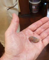 Hand holding chocolate bean