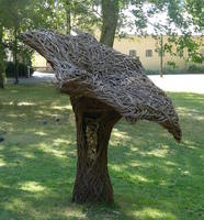 Tree trunk split and wideneed into a mushroom shape