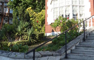 Well-tended shrubbery in front of house