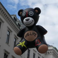 Black bear with brown paws and white lower face