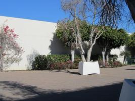 Open seating area with trees