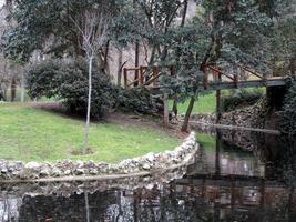 Stream in foreground; wooden bridge over stream in background